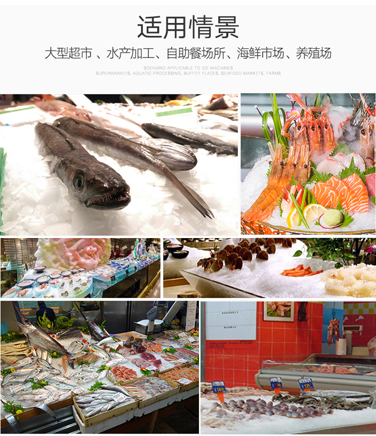 片冰机5吨(图5)